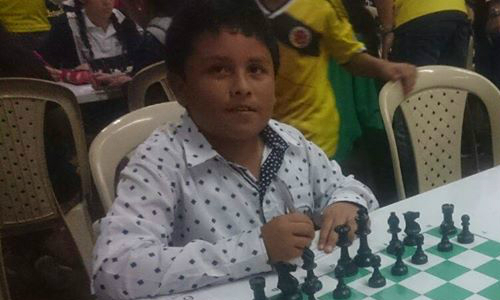 higarreroajedrez