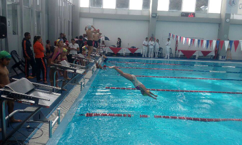 natacionfestival
