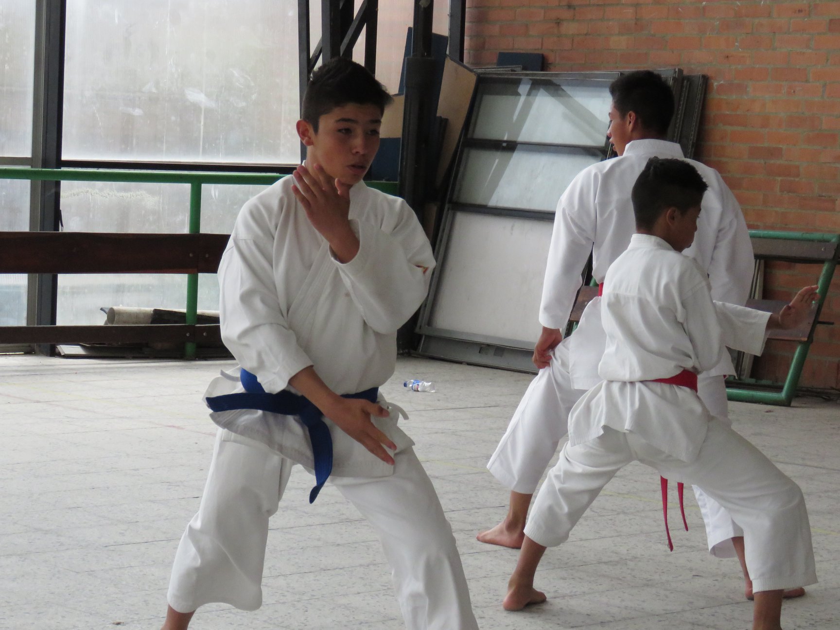 KARATE INTERCOLEGIADOS4