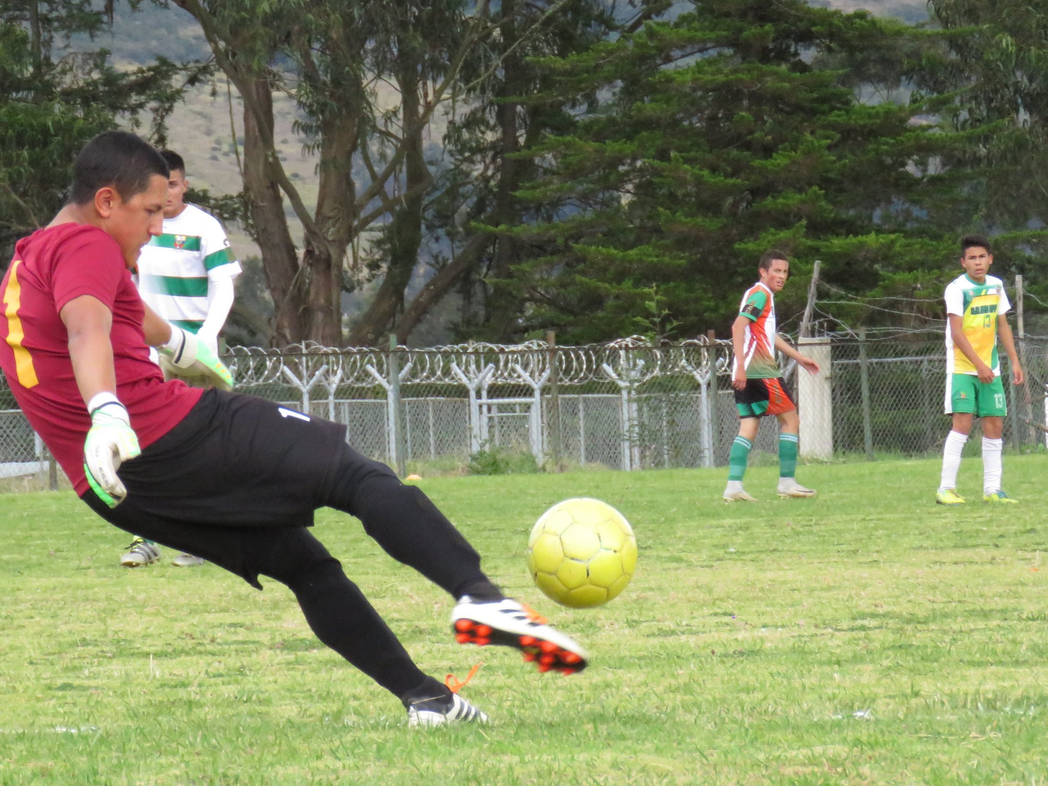 Semifinales sel juvenil3