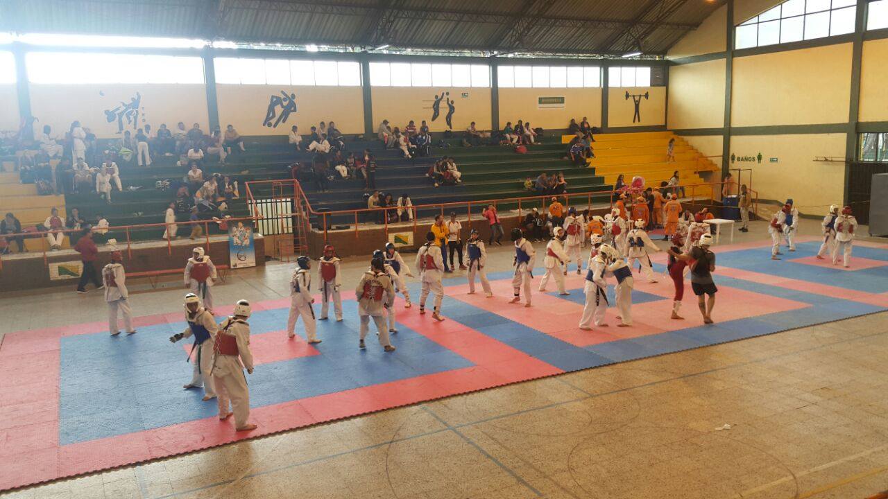 Taekwondo campamento marzo 4