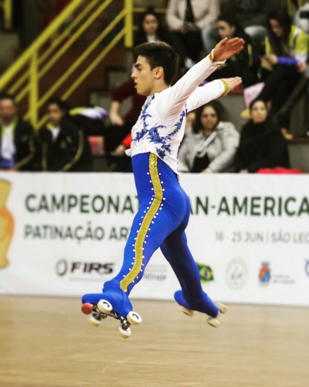 patinaje art
