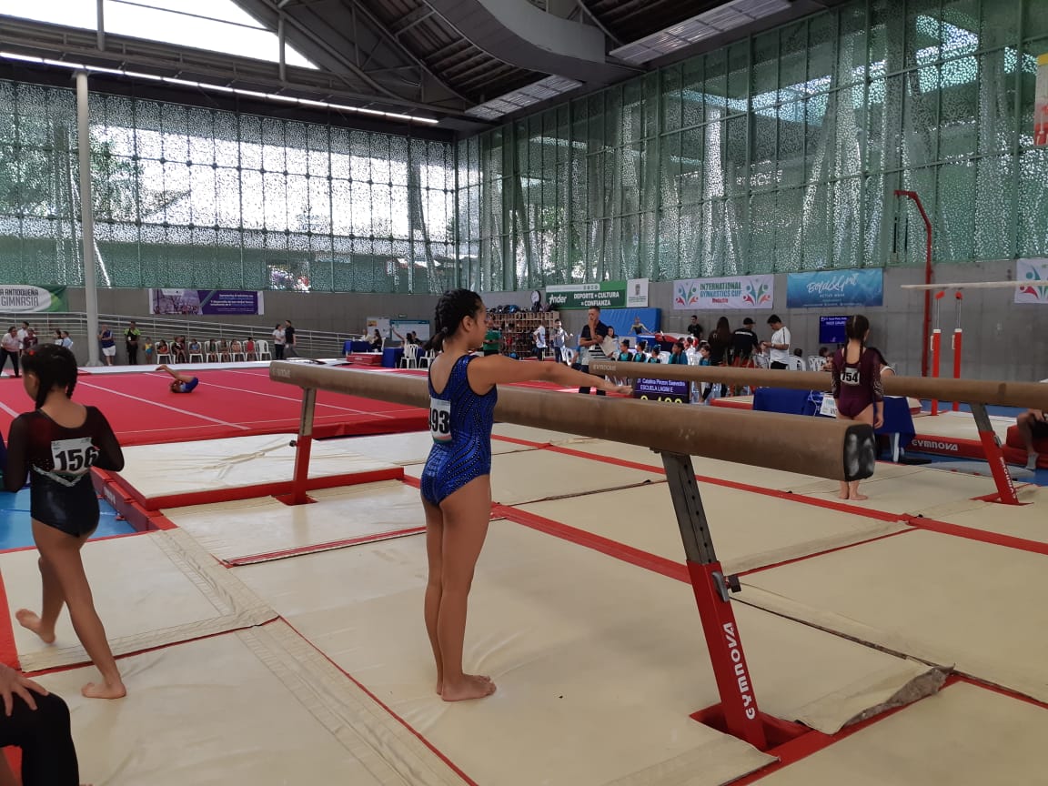 GIMNASIA ARTISTICA 1