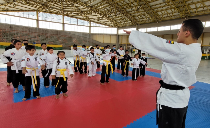 HAPKIDO 3