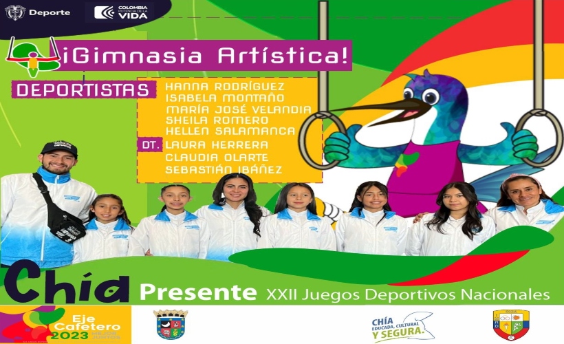 13 de Noviembre Gimnasia Artística