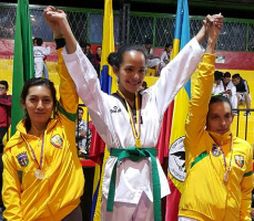 Taekwondo5
