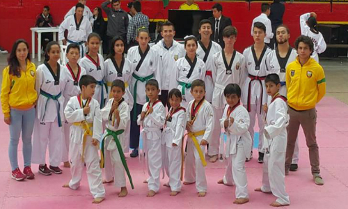 Taekwondotenjo