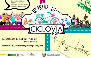 ciclo