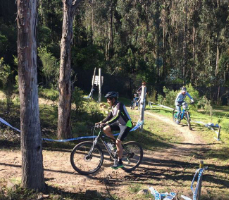 ciclom5