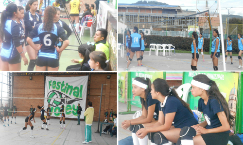 collagevoleibol