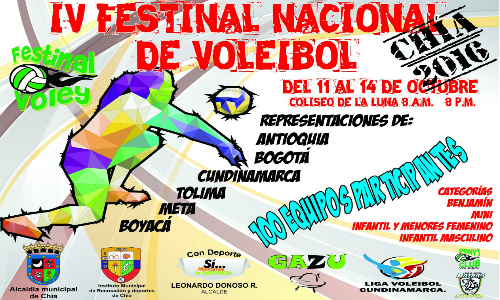 festivalvoleibol