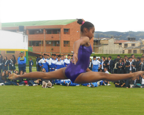 gimnasia