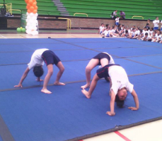 gimnasiaacrobatica2