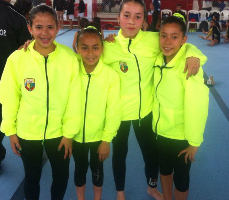 gimnasiasogamosoc