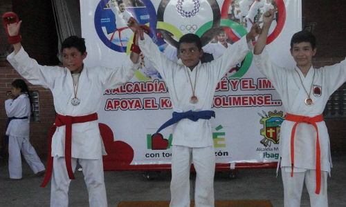 karatecopabogota1