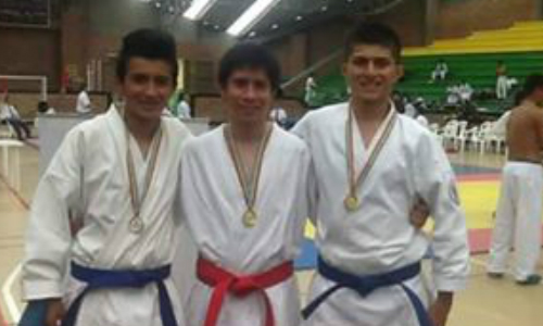 karatedointercolegiados