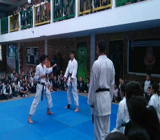 polokarate229