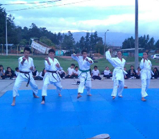 polokarate3