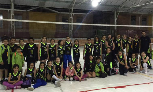 ponyvolei1