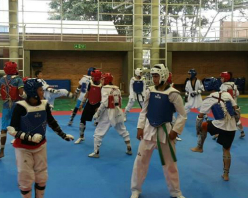 taekwondo 2
